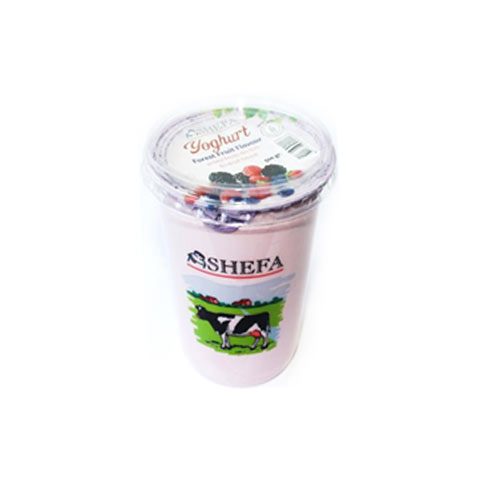 Shefa